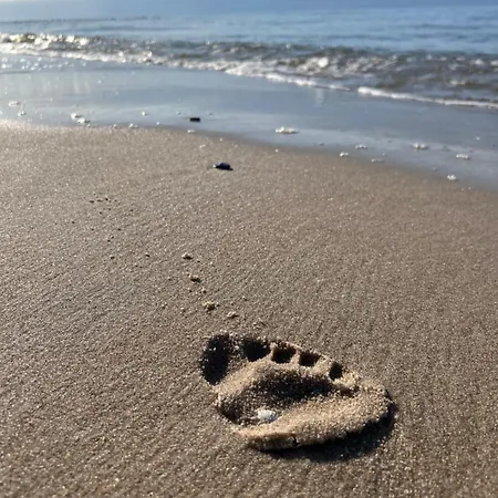 Mesa Grill Restaurant Cafe Dzwirzyno