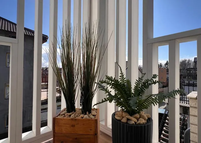 Mesa Grill Restaurant Cafe Dzwirzyno